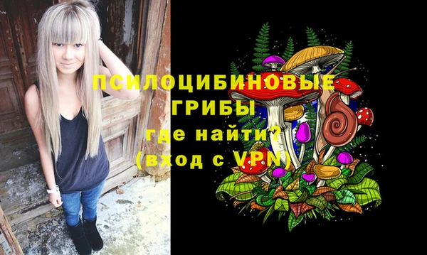 прущие грибы Баксан