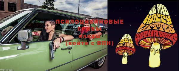 прущие грибы Баксан