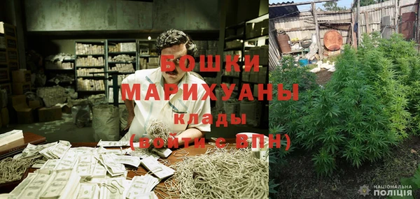 прущие грибы Баксан